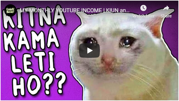 MY MONTHLY YOUTUBE INCOME KIUN and A - Sana's Bucket