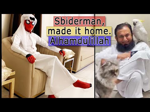 I wrote Talha Anjum Rap Song in Urdu Test - Halal Meme Review 3