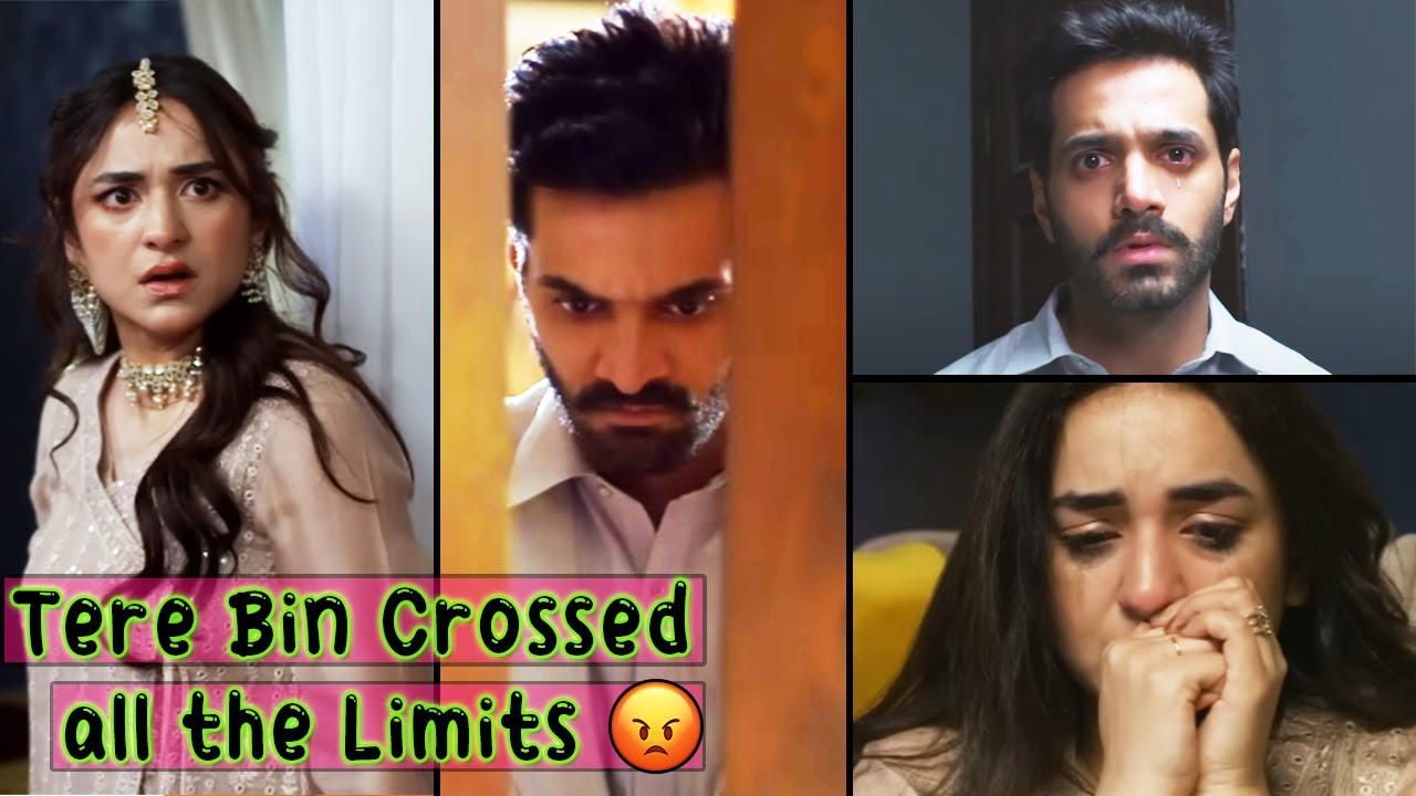 Tere Bin ki Gandi Story Crossed All The Limits - Murtasim and Meerab are TRASH - Sana Amin