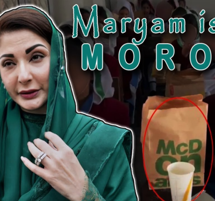 Maryam Nawaz is a MORON, Here's Why I LOVE Her ❤ - Sana Amin